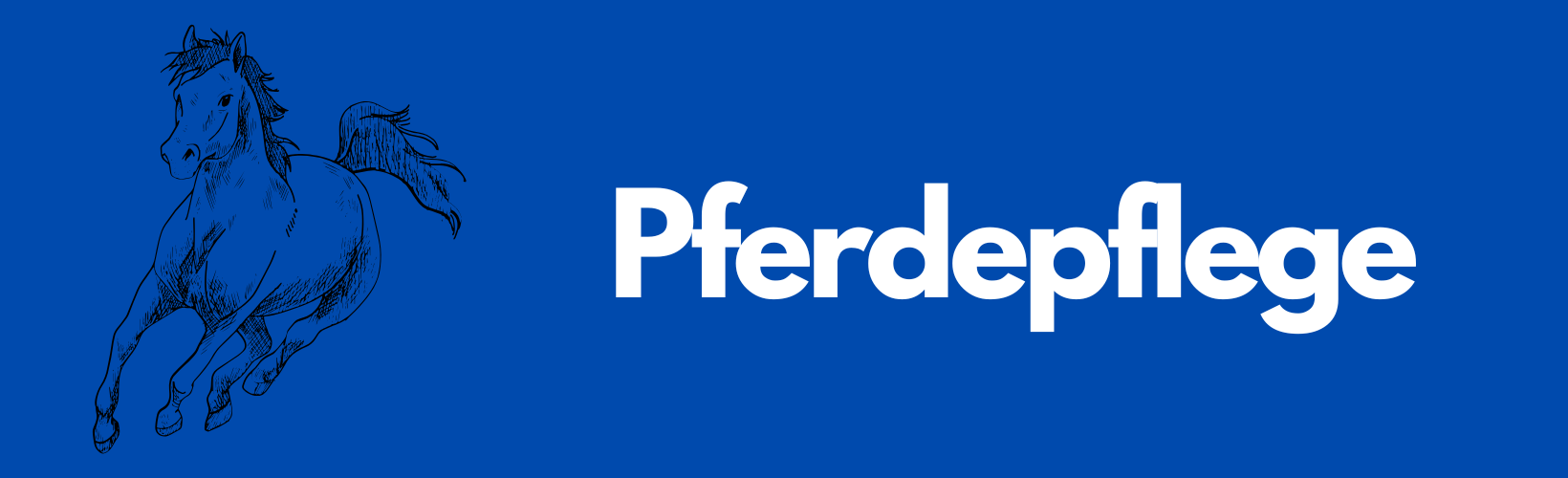 Pferdepflege