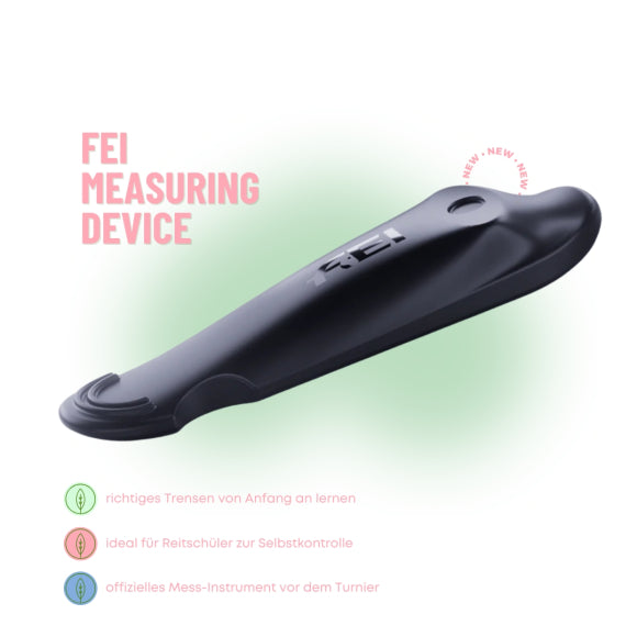 FEI - Measuring Device