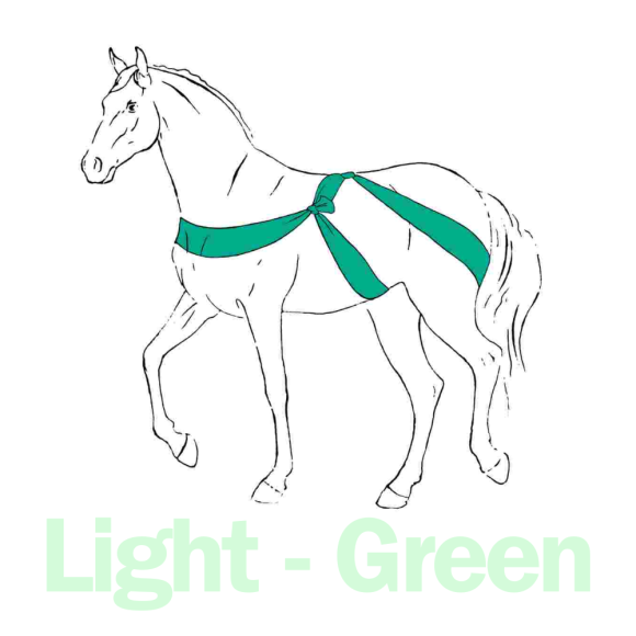 Elastotex Körperband light green - 10cm x 3,5m
