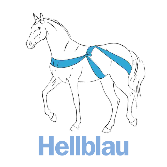 Elastotex Körperband hellblau - 10cm x 3,5m