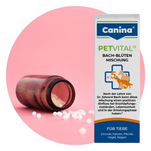 PETVITAL Bach-Blüten vet Globuli