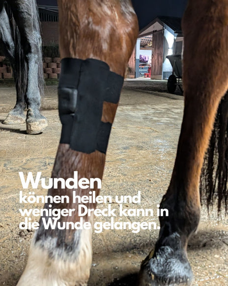 Alexalife Pferdepflaster, Wundabdeckung für Pferde und Hunde, 4 Stück
