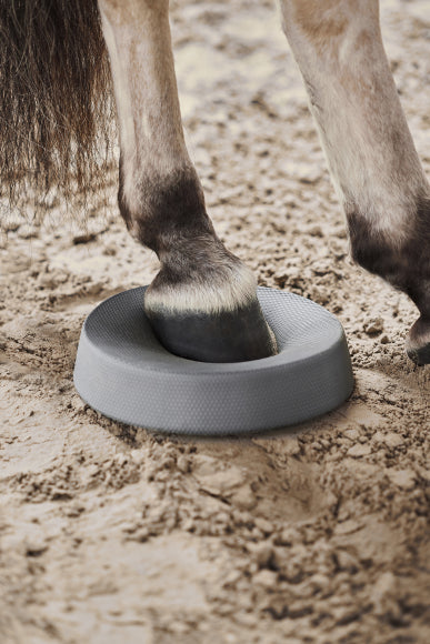 NØRSHOLM EQUESTRIAN Balance Pad Pferd 2er Set