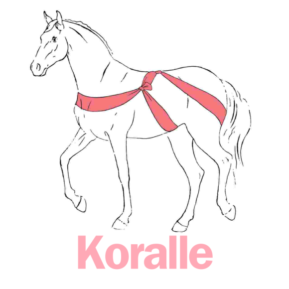Elastotex Körperband Koralle - 10cm x 3,5m