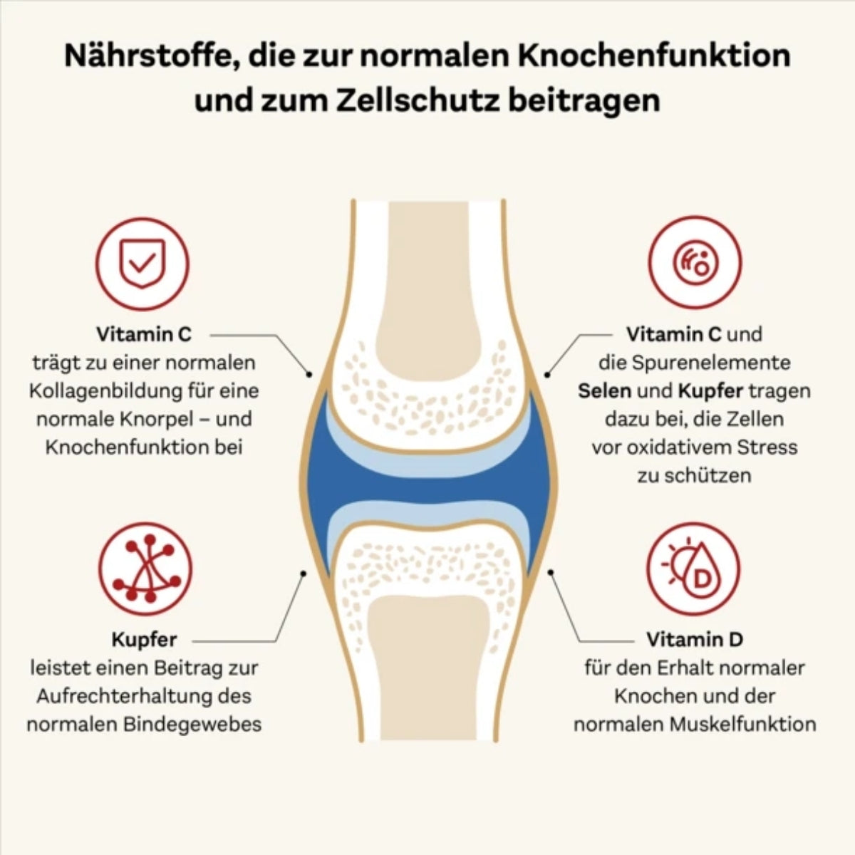 DOPPELHERZ Kollagen 11.000 Plus system Ampullen, 30 Stück