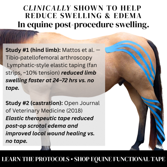 EquiTecs Kinesiology Tape 2-Way 7,5cmx5m Set (Hellblau,Lila,Schwarz)