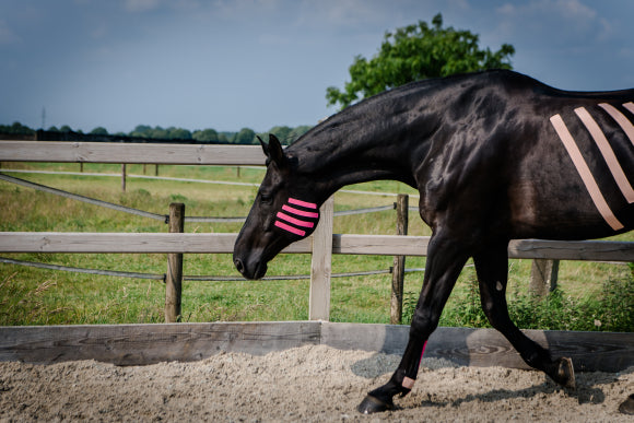 HestaKin - The Advanced Kinesiology Tape pink