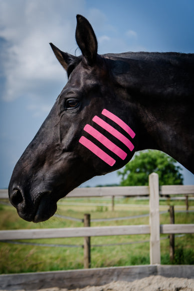 HestaKin - The Advanced Kinesiology Tape pink