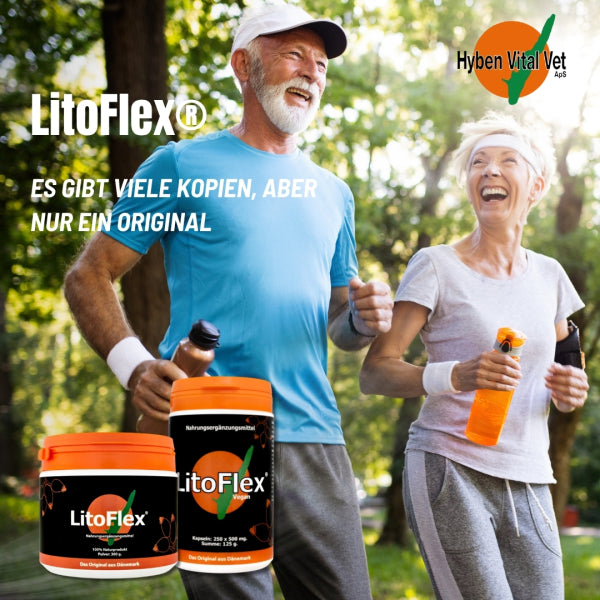 LitoFlex Hagebuttenpulver, 300 g