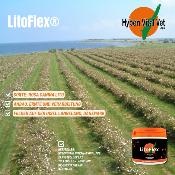 LitoFlex® Hagebuttenpulver Vegan, Kapseln, 250 Stk.