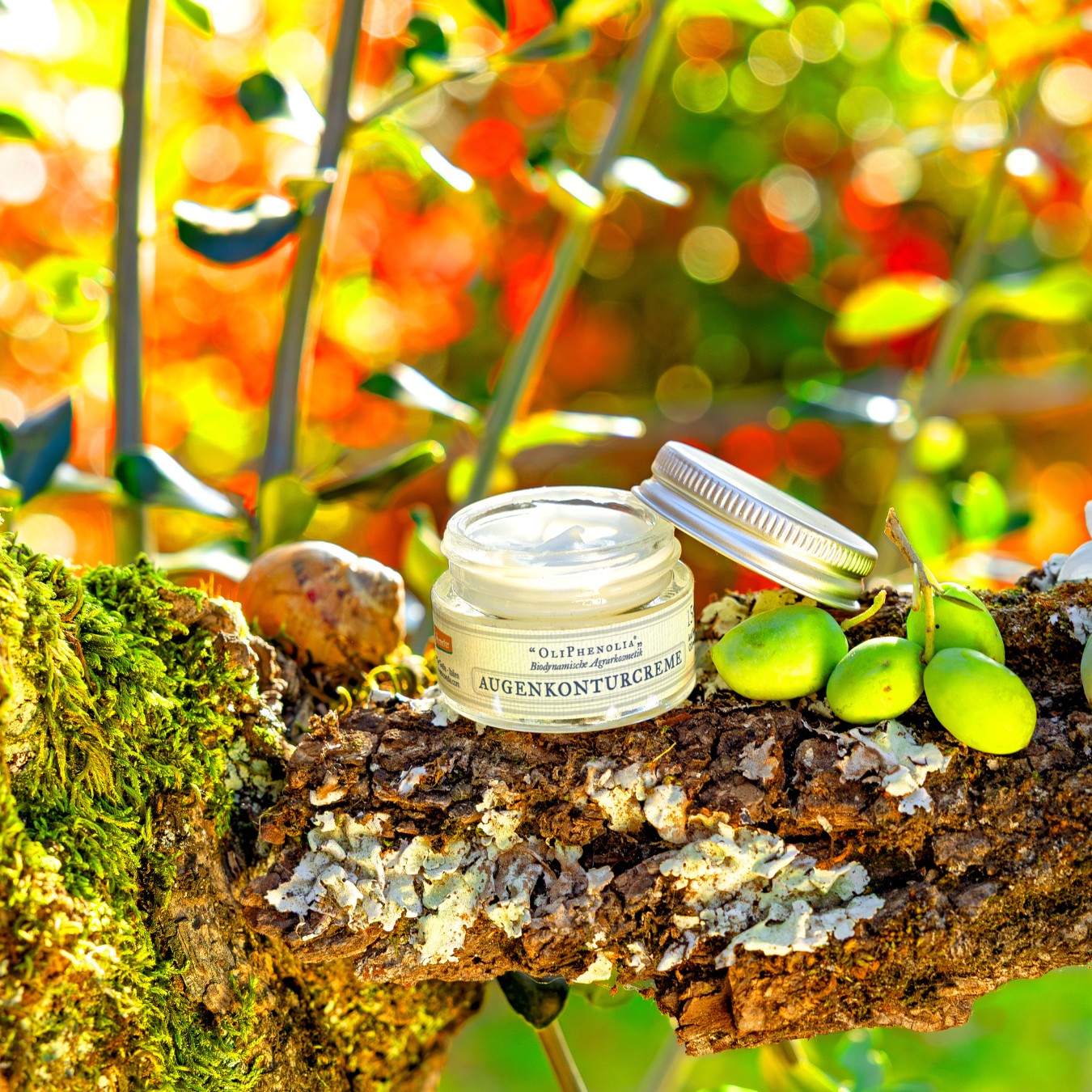 OliPhenolia biodynamische Kosmetik Augenkonturcreme