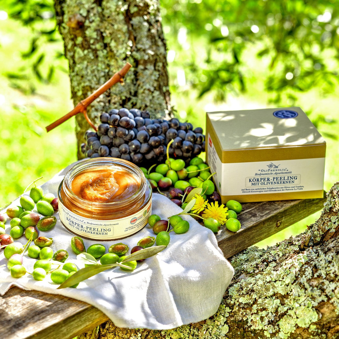 OliPhenolia biodynamische Kosmetik Körper-Peeling