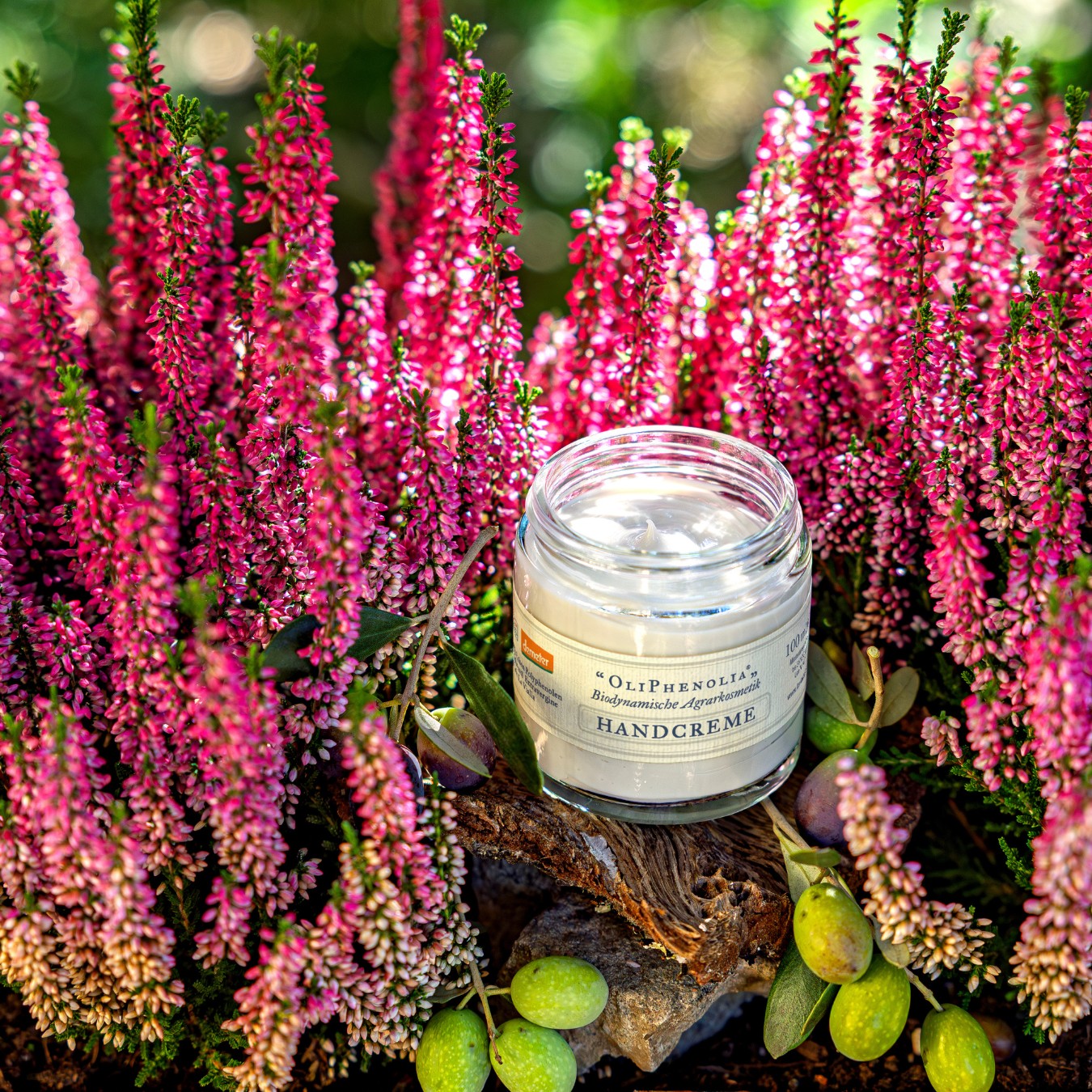 OliPhenolia biodynamische Kosmetik Handcreme