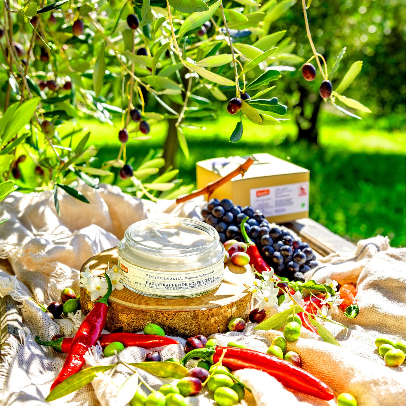 OliPhenolia biodynamische Kosmetik Hautstraffende Körpercreme
