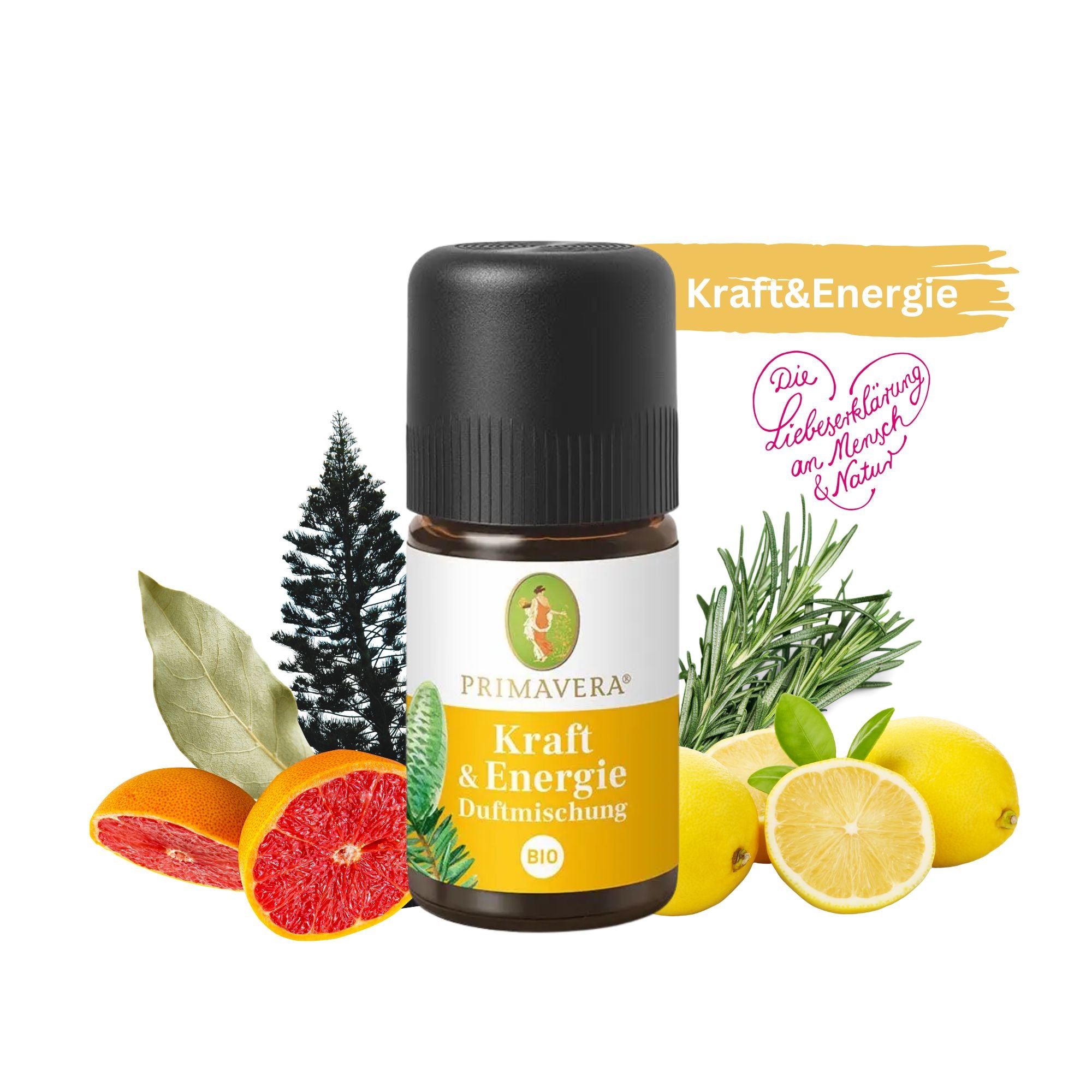 Primavera Kraft & Energie Duftmischung bio 5ml