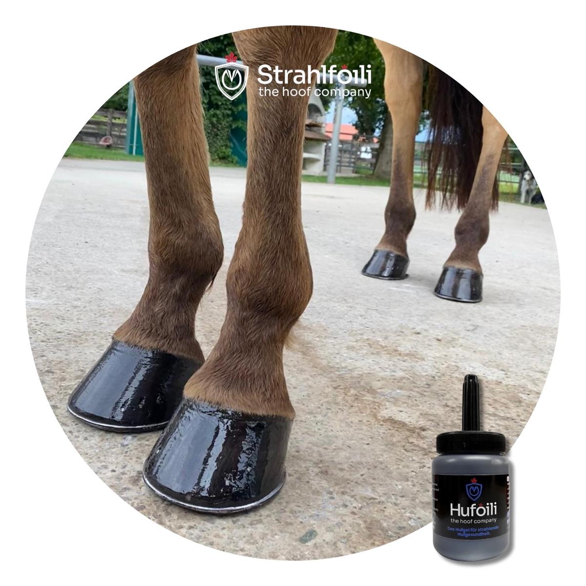 Hufoili mit Pinsel black edition 250ml