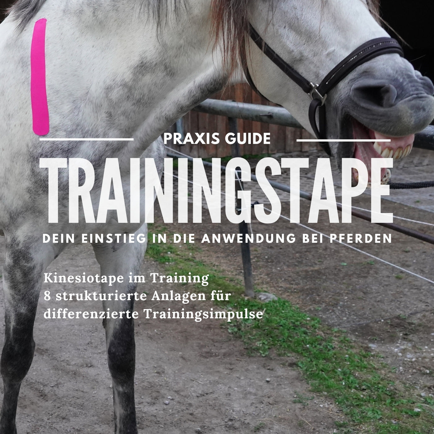 Trainingstape Praxis Guide