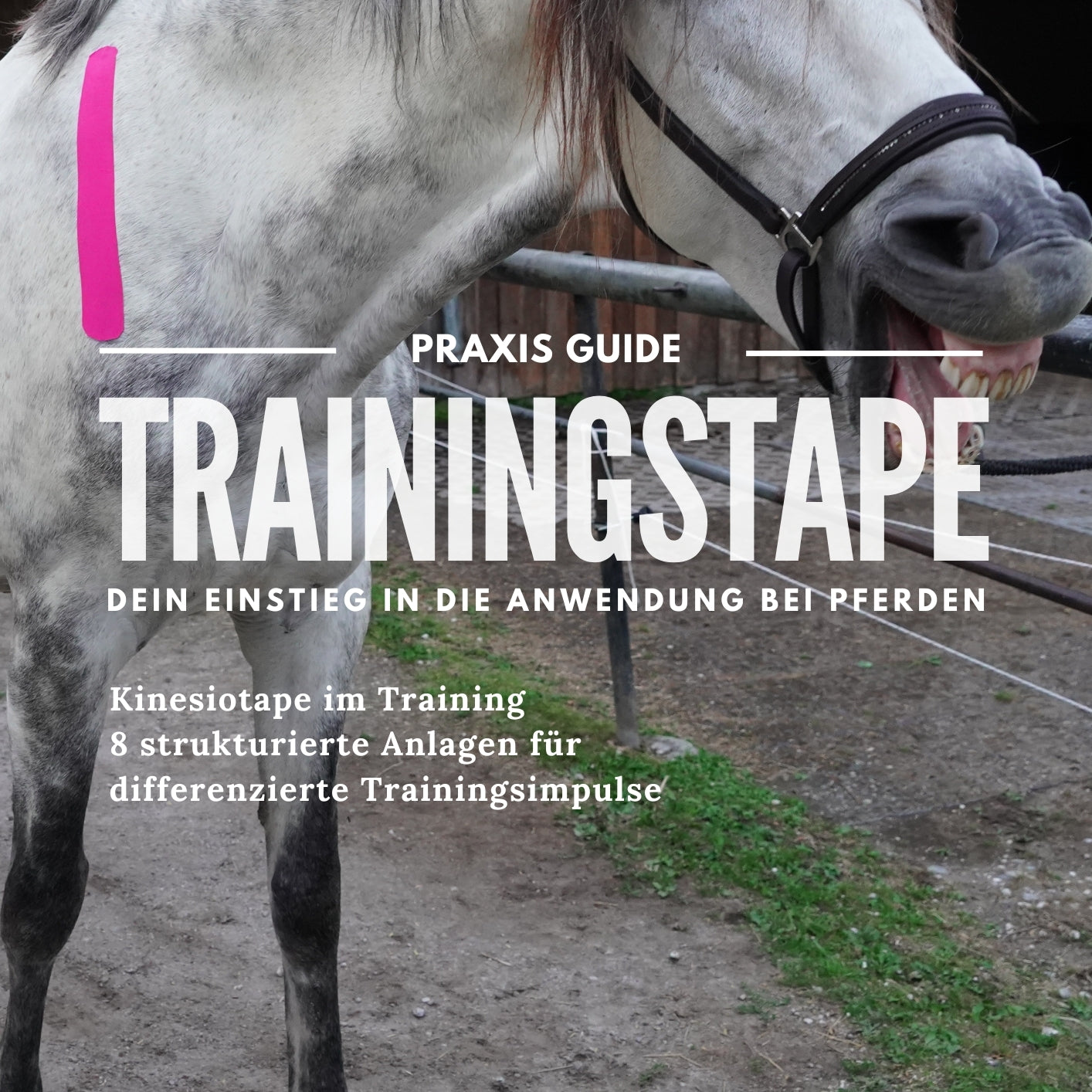 Trainingstape Praxis Guide
