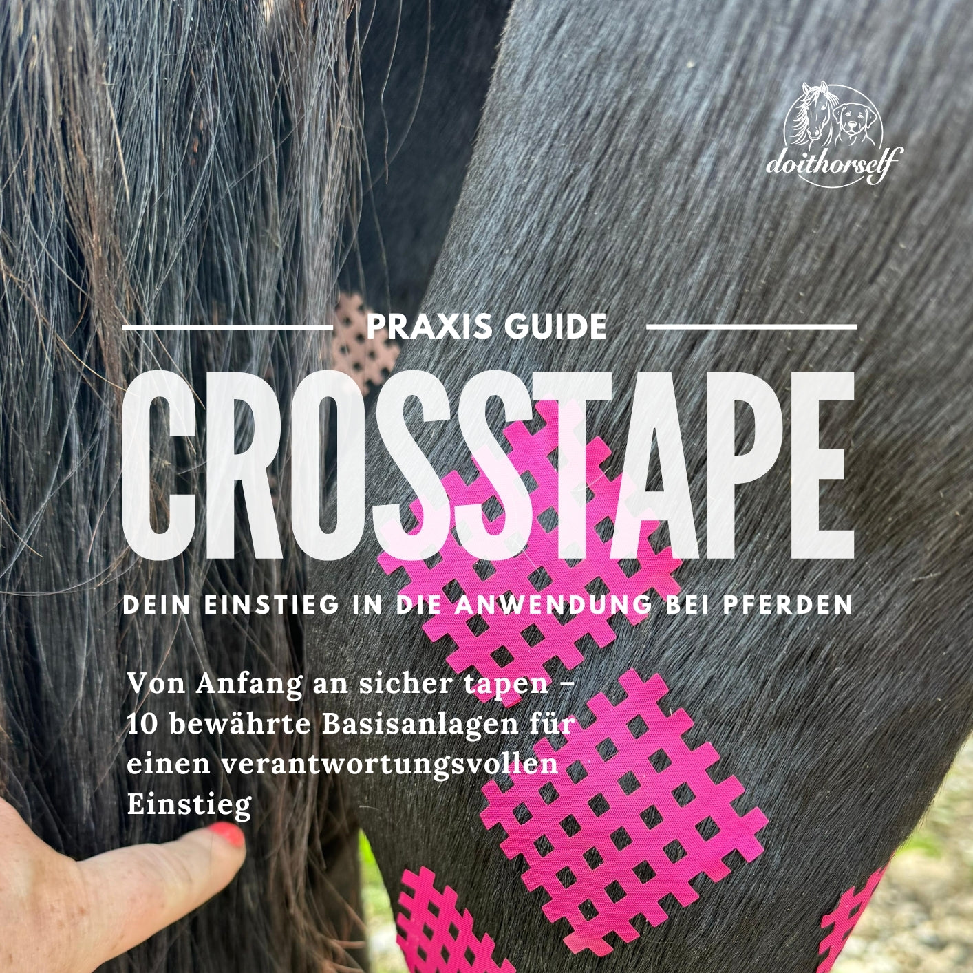 Crosstape Praxis Guide