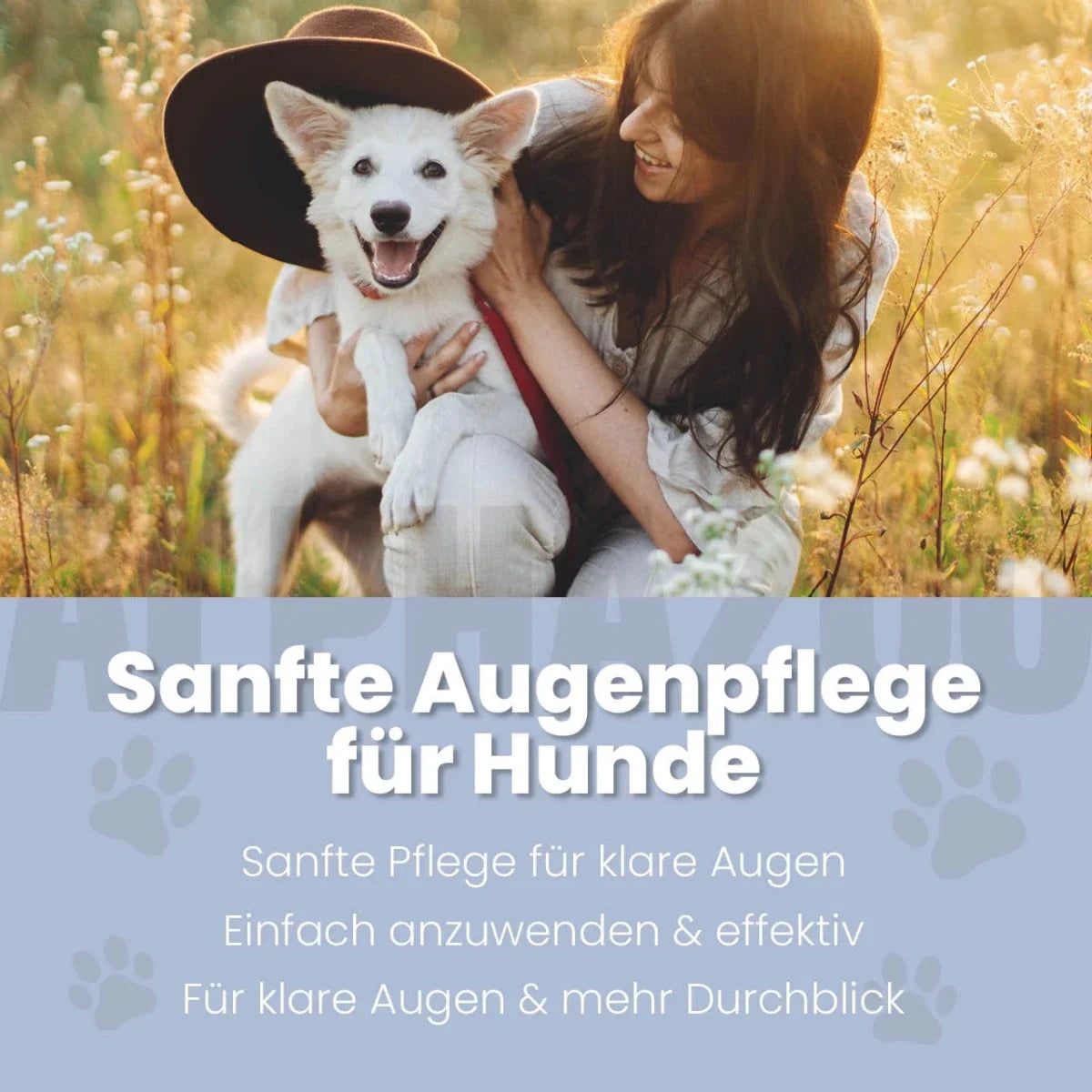 Durchblick Augenpflege für Hunde