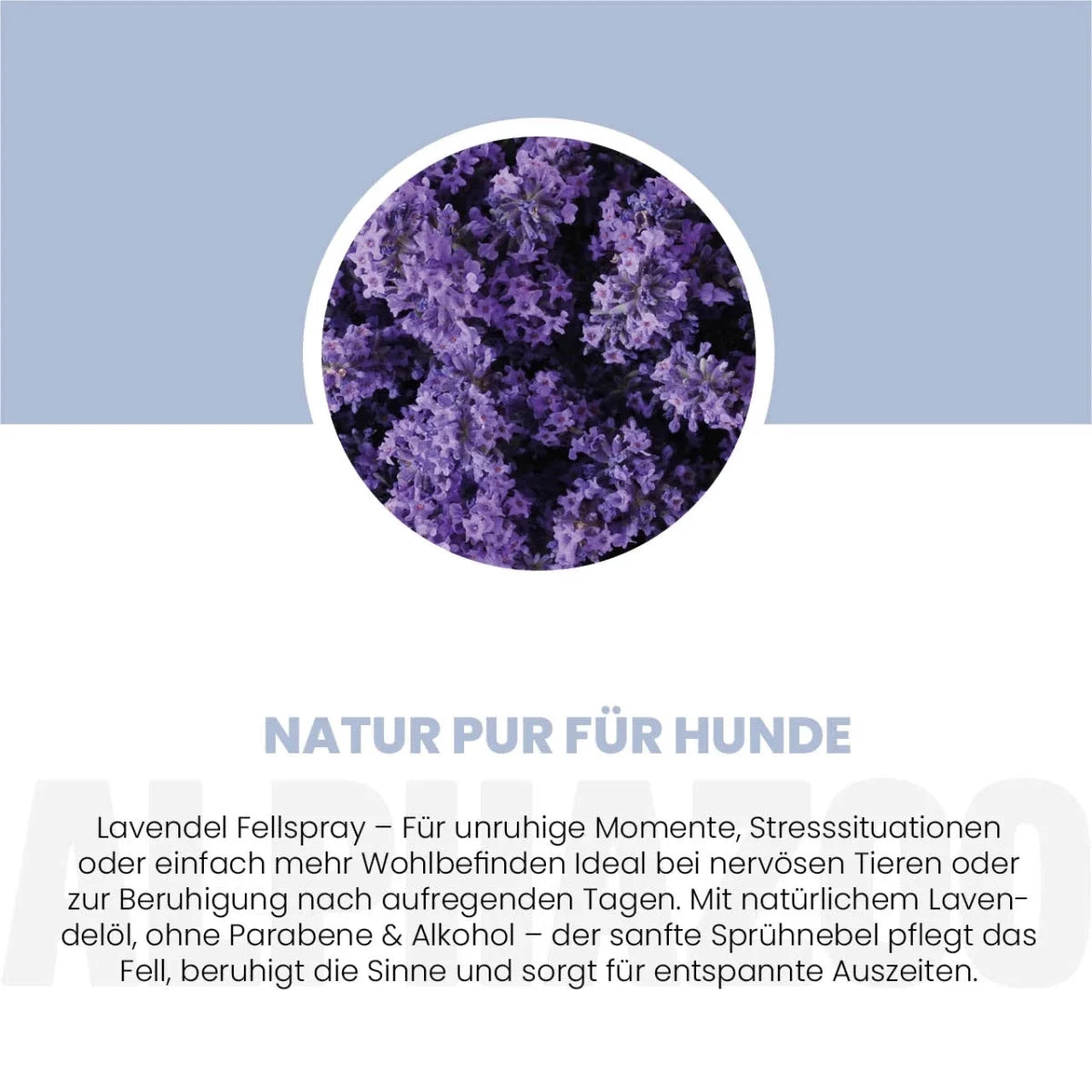 Lavellness Fellspray für Hunde