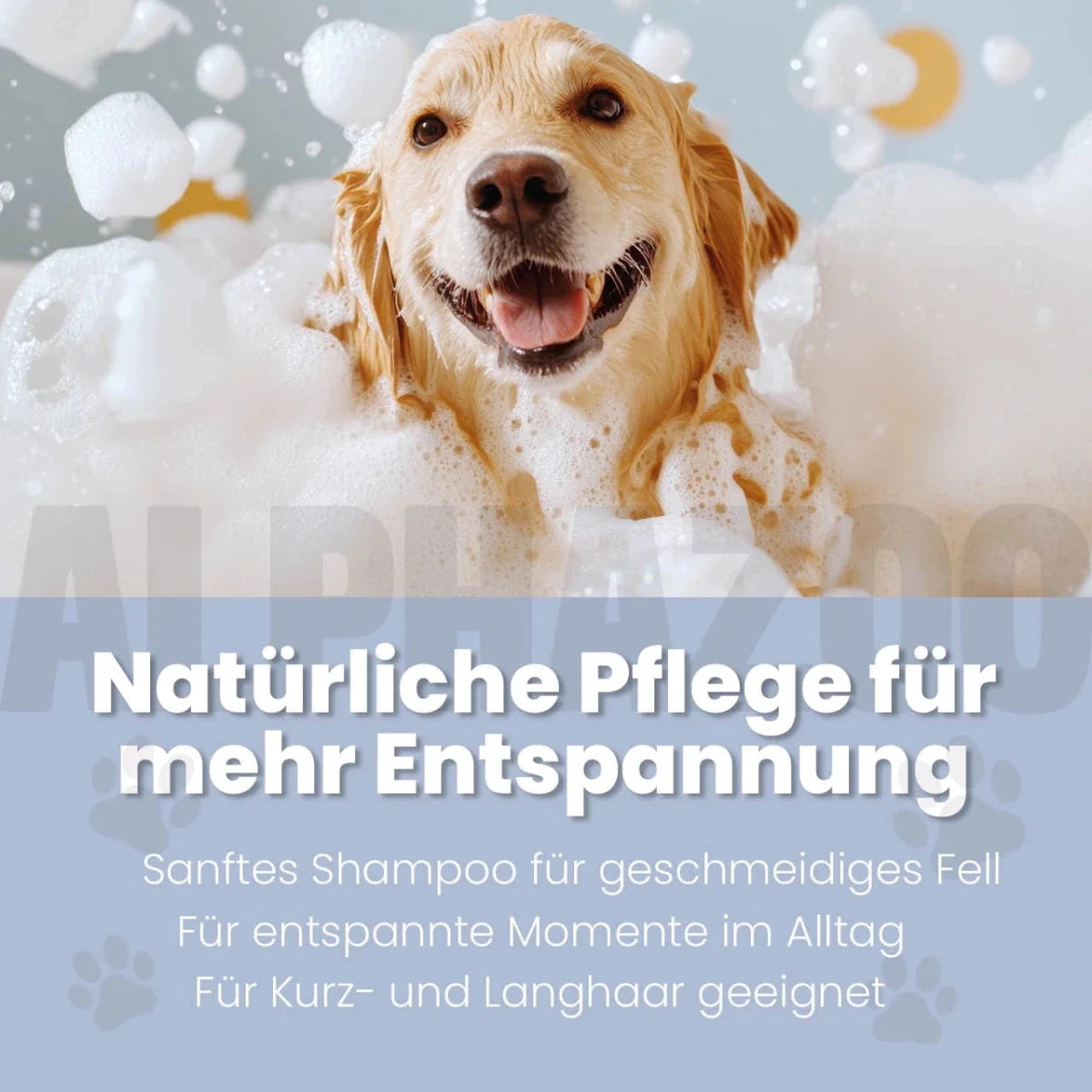 Lavellness Shampoo für Hunde