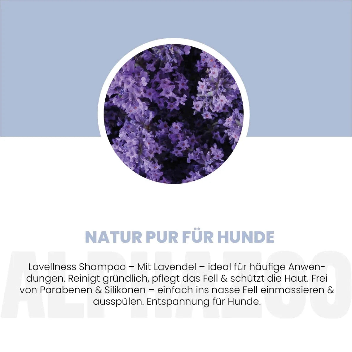Lavellness Shampoo für Hunde