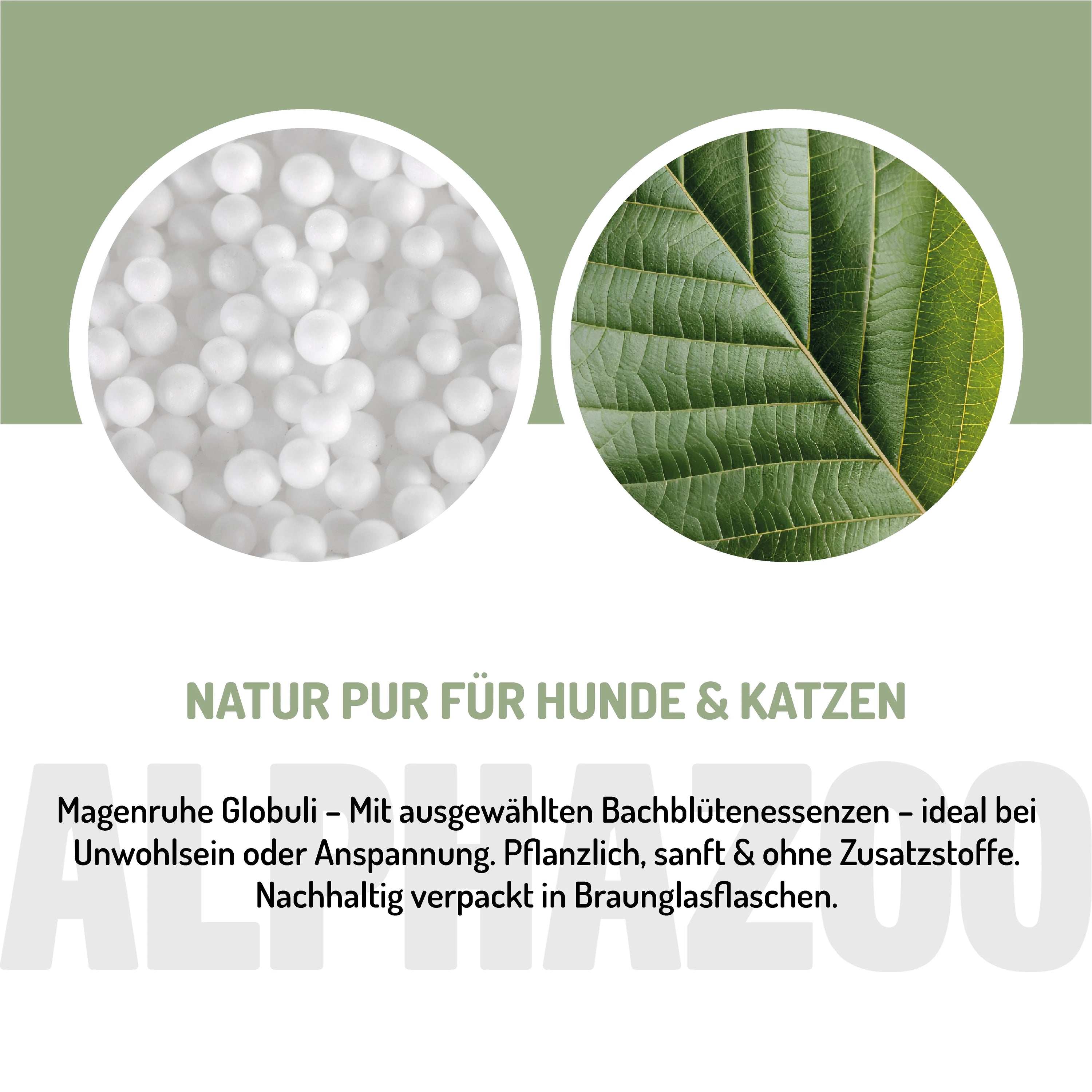 Magenruhe Bachblüten