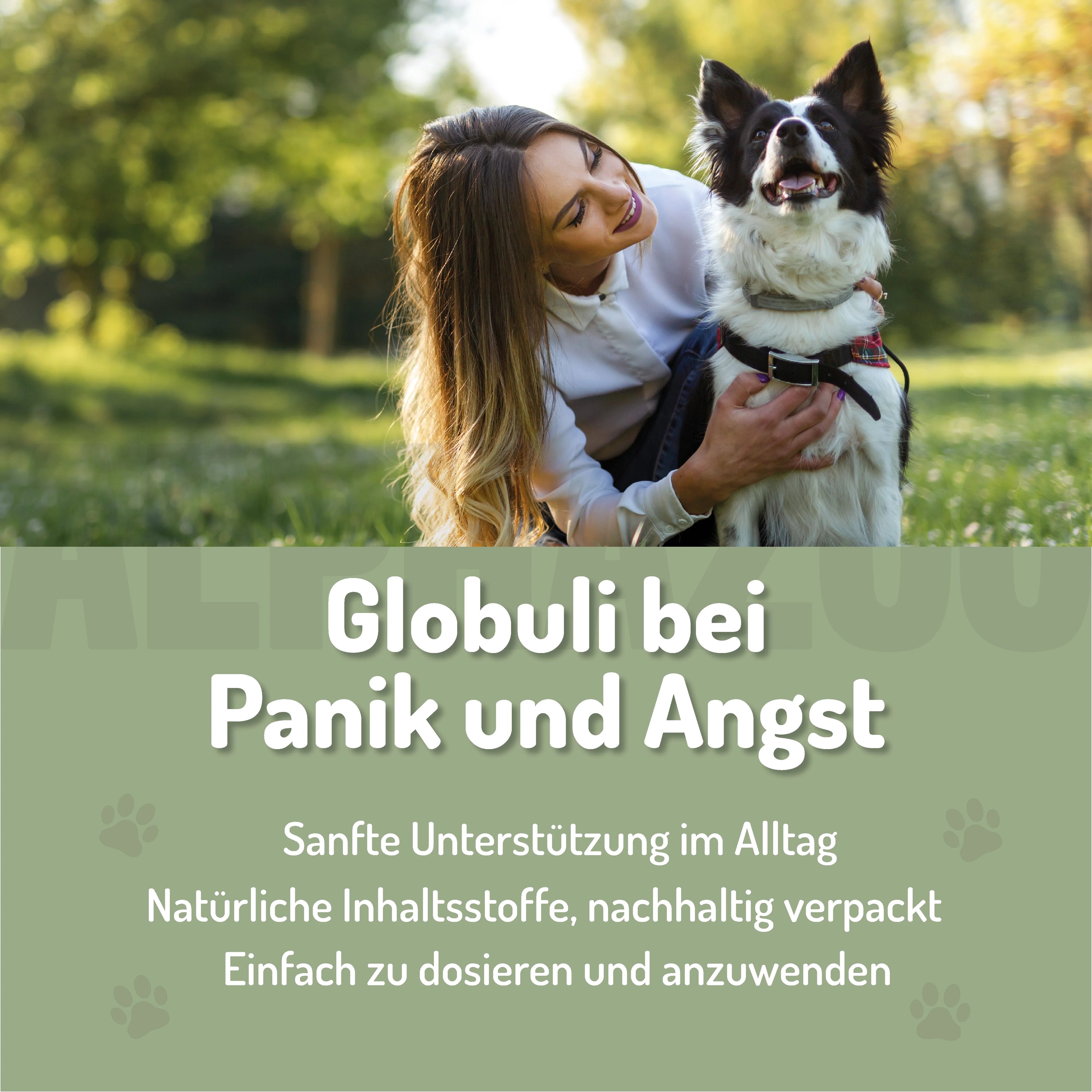 Panik Stop Bachblüten