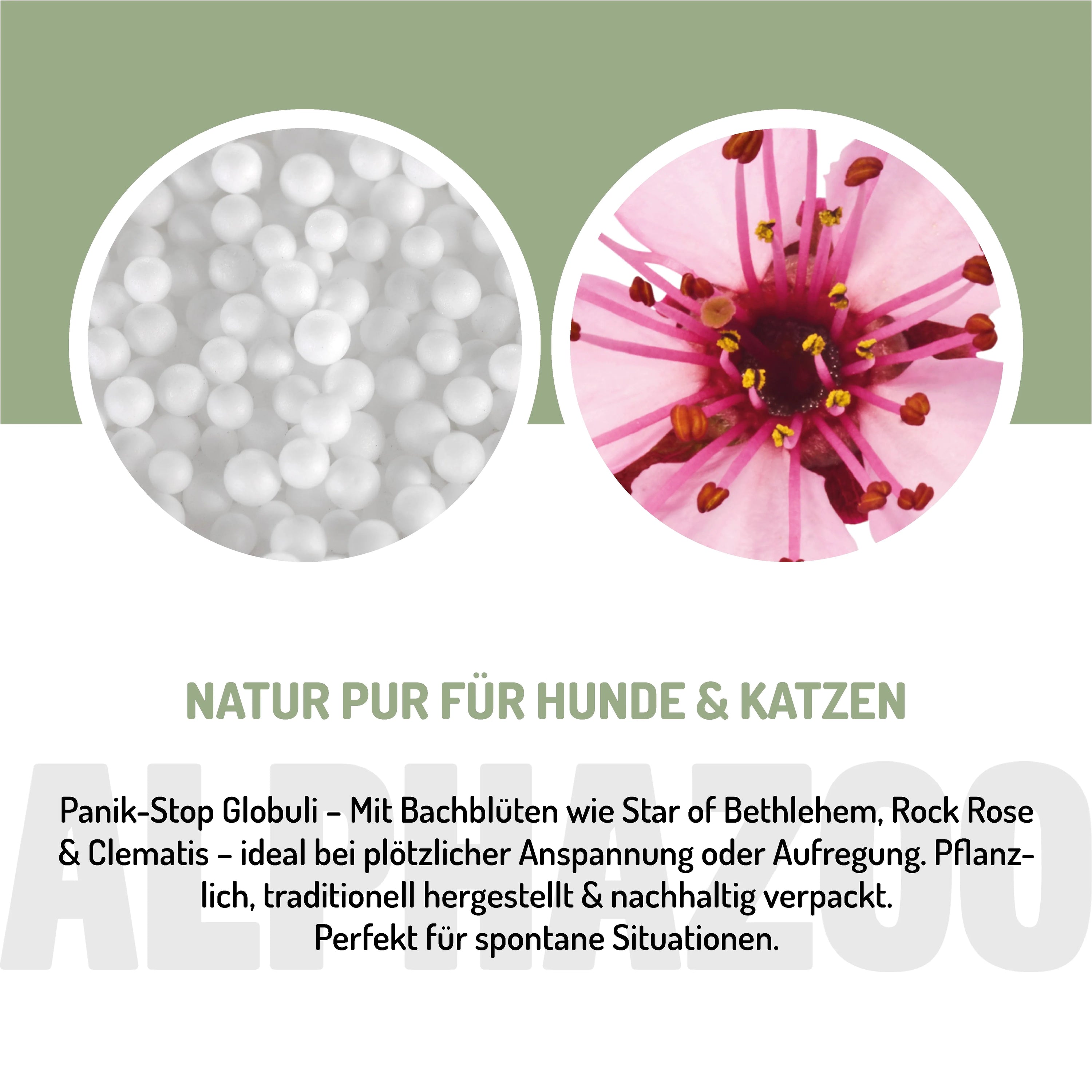 Panik Stop Bachblüten