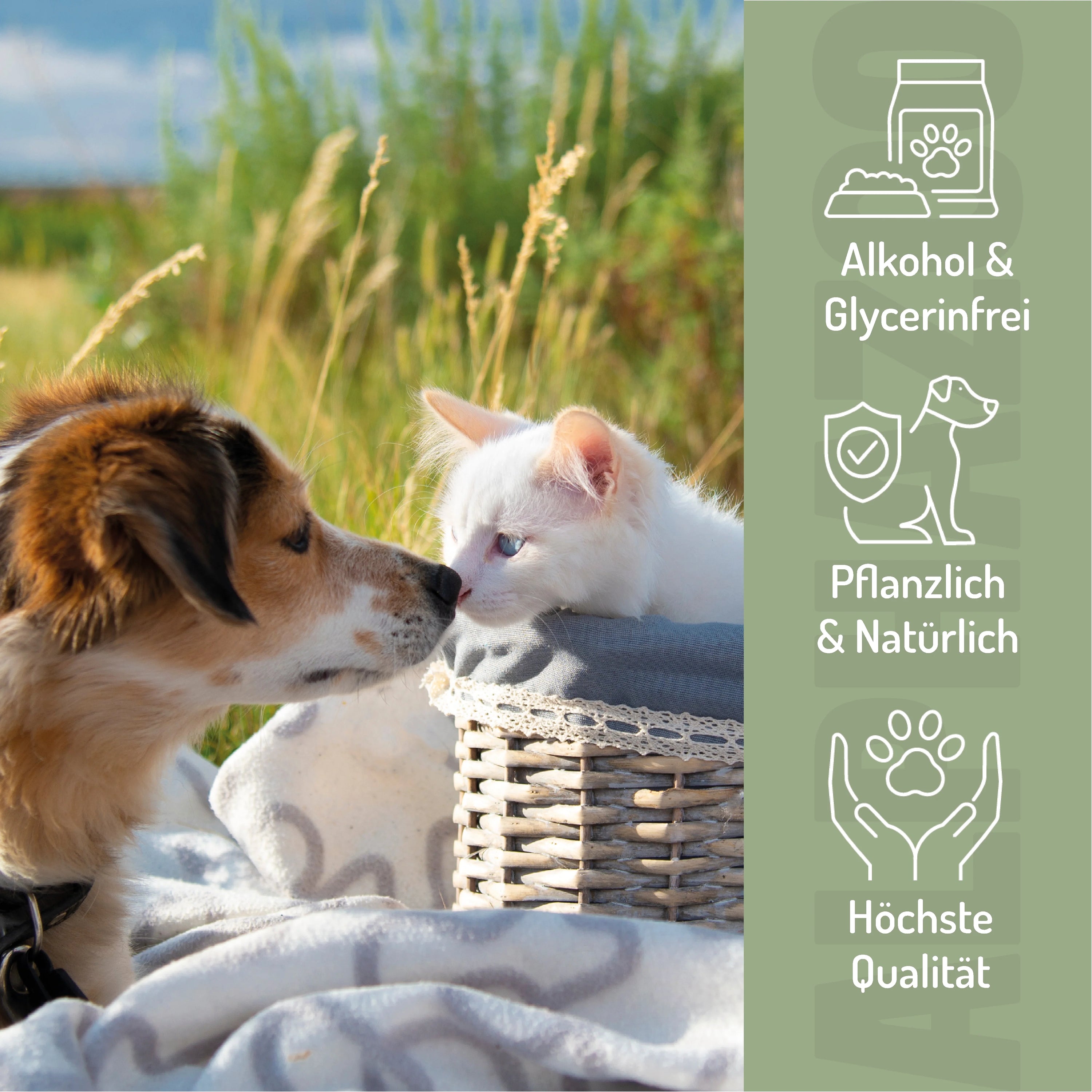 Panik Stop Bachblüten
