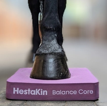 HestaKin Balance Core Pads