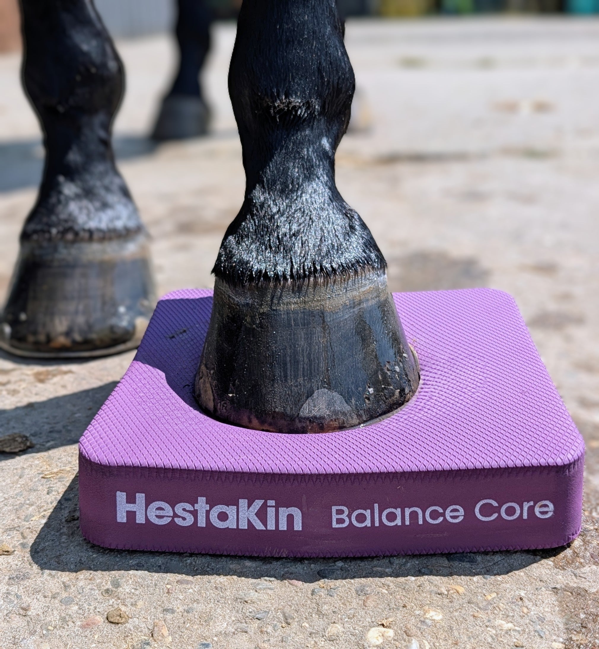 HestaKin Balance Core Pads