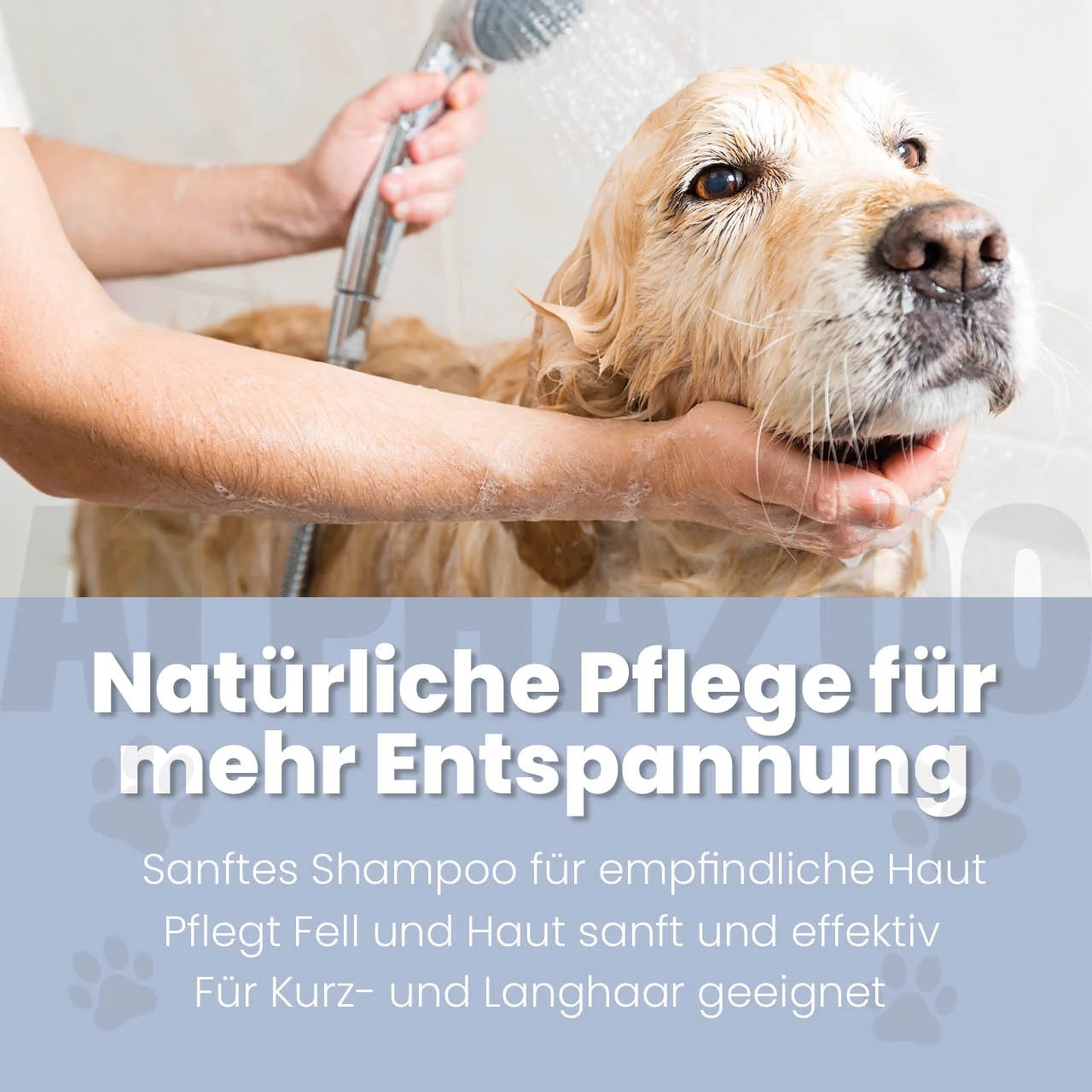 Sensibelchen Shampoo für Hunde